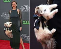 She faced online boycott when she used a stuffed cat as a purse at the 